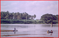 The Thyagaraja aaradhana