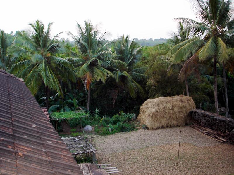 DSC02220.jpg - Panoramic view of the countryside and the courtyard of a house in the village